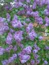 img-1990.jpg