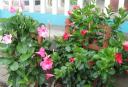 img-2021.jpg