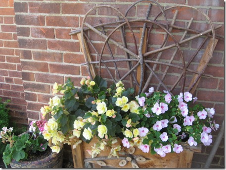 container flowers