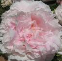 img-2303.jpg