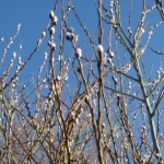 img-5822.jpg