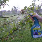 Safer Endall organic insecticide