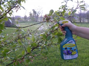Safer Endall organic insecticide