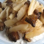 mushrooms morel