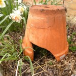 toad house clay pot