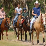 kissimmee horseback riding kissimmee horseback riding