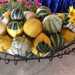 gourd centerpiece