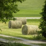 round hay bales
