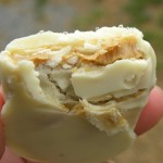 white chocolate covered peanut butter crackers