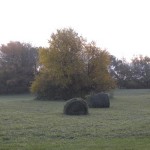 fall hay bales