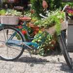 container garden bicycle