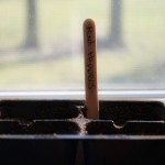 planting seeds indoors