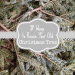 7 ways to reuse Christmas tree
