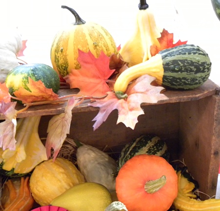 fall backyard displays and decorations