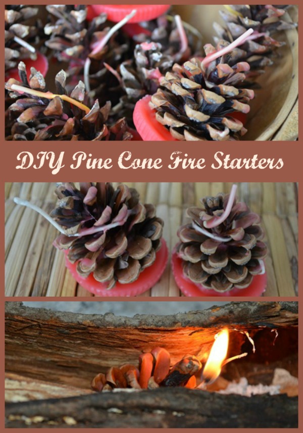 DIY Pine Cone Fire Starters