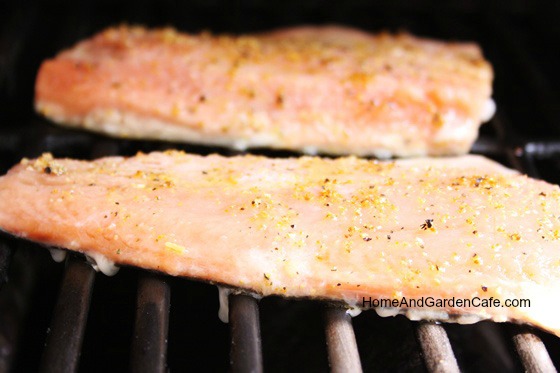 lemon pepper grilled salmon recipe