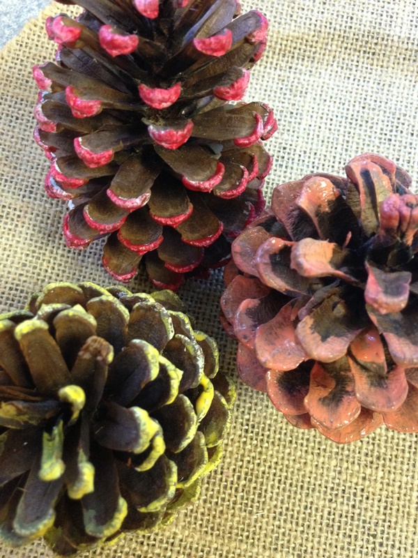 diy pine cones swag