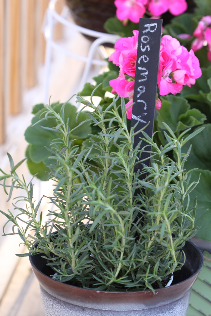 Herb Chalkboard Garden Markers Rosemary