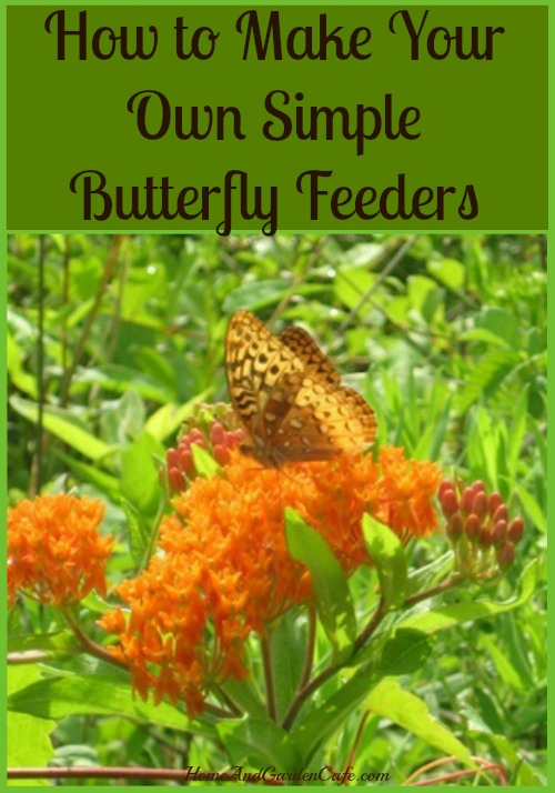 How to make your own simple backyard butterfly feeders
