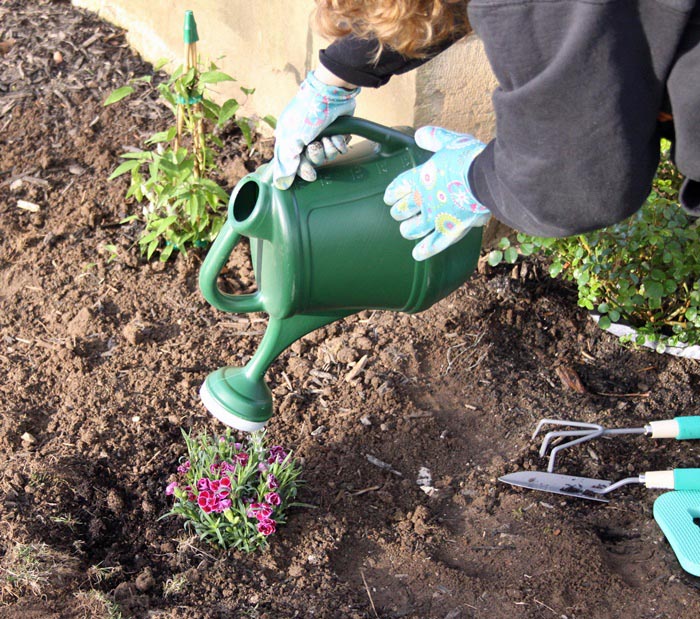 Planting a pollinator garden~ Watering in the plants