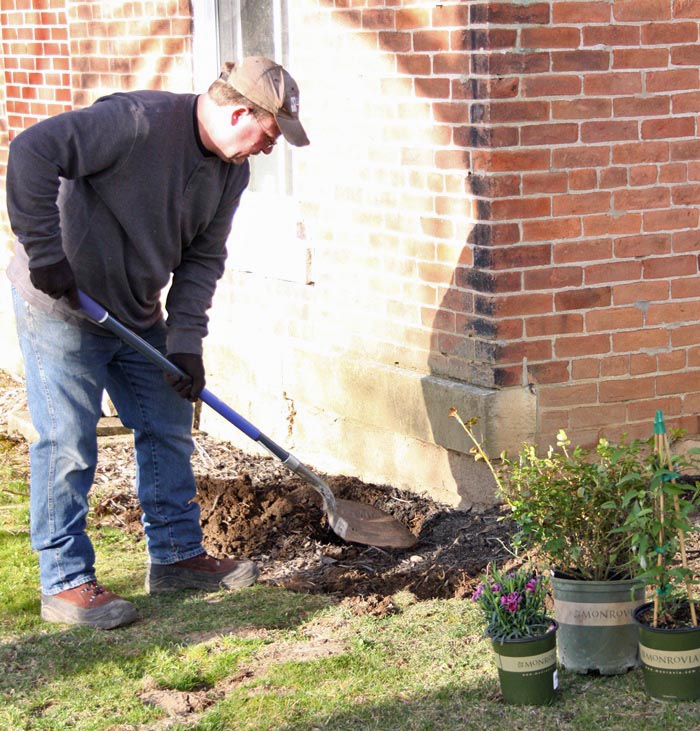 Planting a pollinator garden