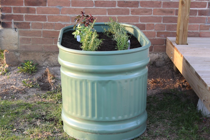 Water trough Herb Garden