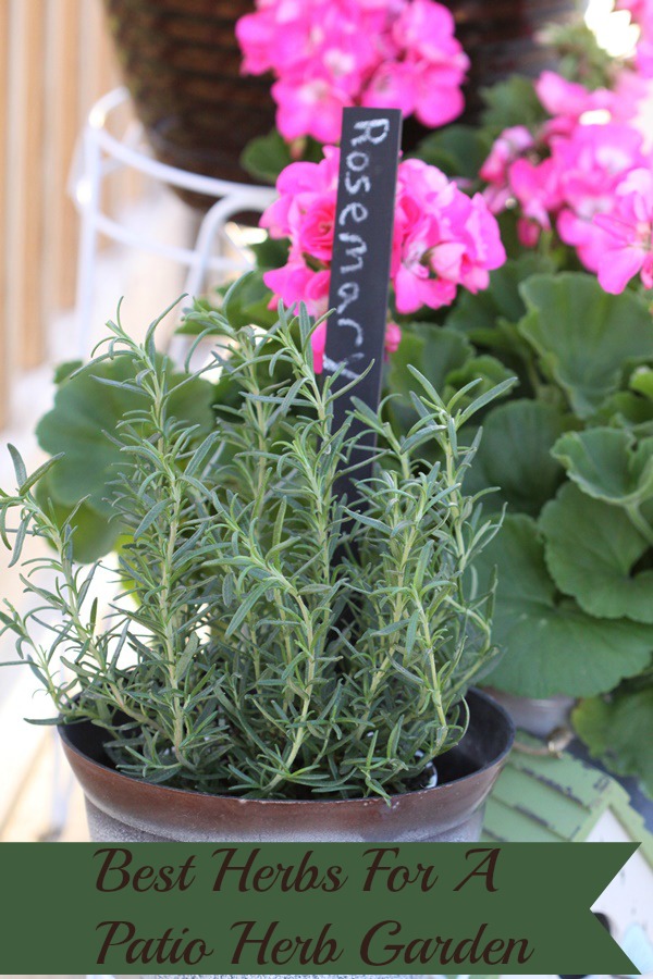 Best Herbs for a Patio Herb Garden