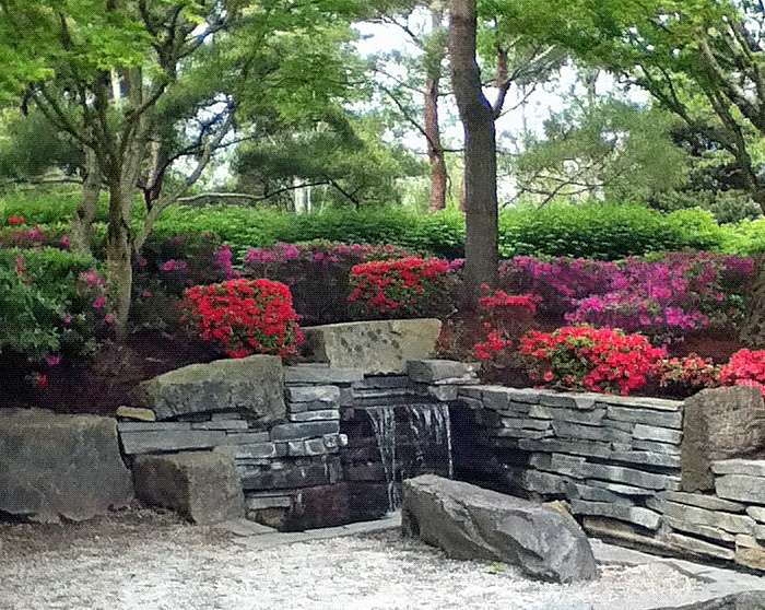 Spring in the Nike Complex Garden in Beaverton Oregon