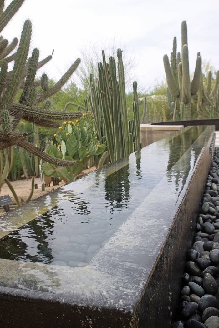 Desert Botanical Garden Phoenix Arizona~ Fountains