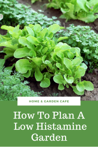 How to plan a low histamine garden